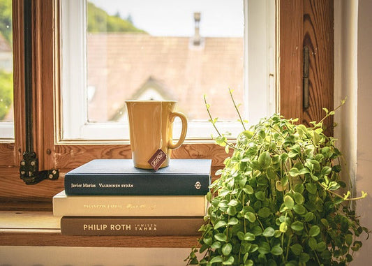Sunlight & Chill: Finding the Right Light